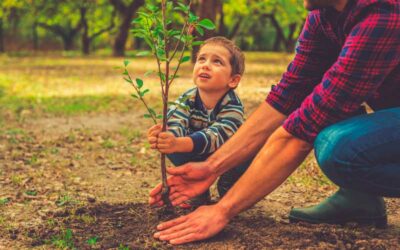 El permiso de paternidad